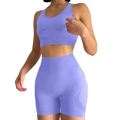 Women's 2-Piece High-Stretch Seamless Yoga Set - Quick-Dry Sports Bra and Shorts for Activewear and Fitness Activities